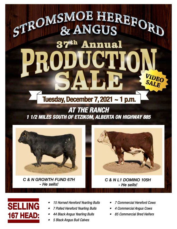 32nd Annual Stromsmoe Hereford and Angus Production Sale