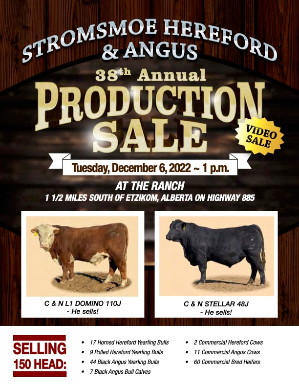 32nd Annual Stromsmoe Hereford and Angus Production Sale